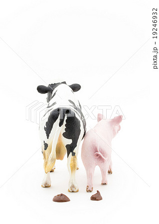 家畜のフン: feces of livestocks 19246932