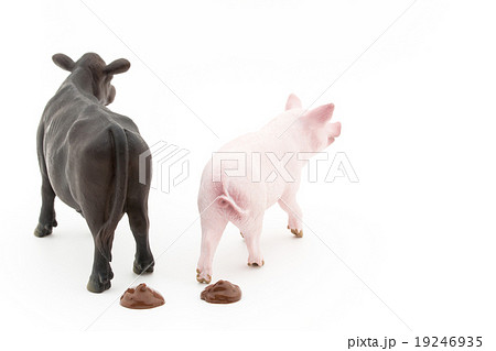 家畜のフン: feces of livestocks 19246935