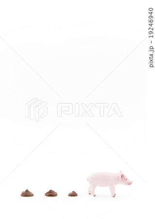 ブタとフン: Pig and its feces 19246940