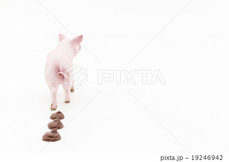 ブタとフン: Pig and its feces 19246942