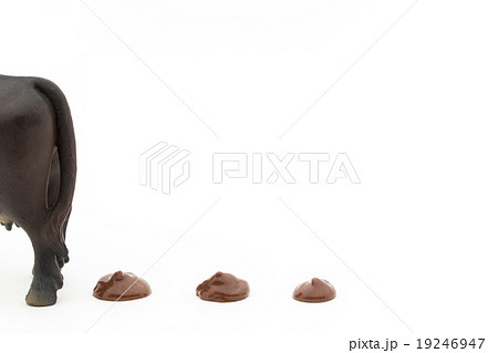 ウシのフン: feces of cows ウシのフン: feces of cows 19246947