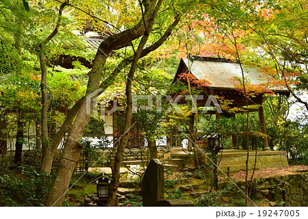 京都・長楽寺 19247005