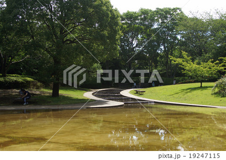香澄公園  習志野市 19247115