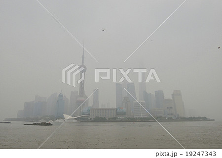 上海の朝 上海の朝 19247343