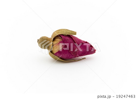 紅茶用バラのつぼみ: Rose Buds for Tea 19247463