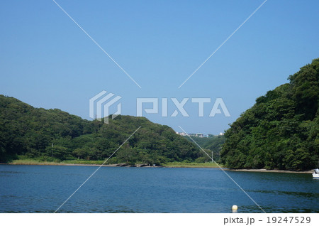 小網代の森 小網代の森 19247529