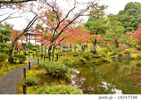 京都・等持院 京都・等持院 19247586