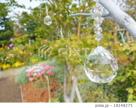 洋風庭園 19248275