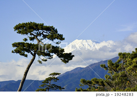 千本松原の富士山 千本松原の富士山 19248283