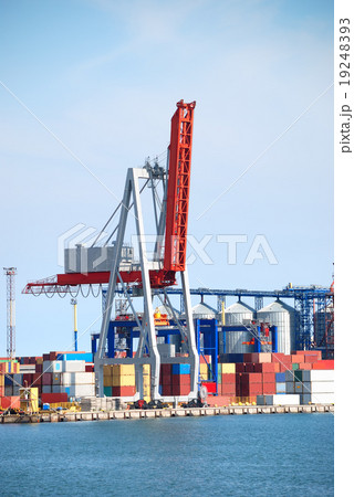 Port warehouse with cargoes and containers 19248393