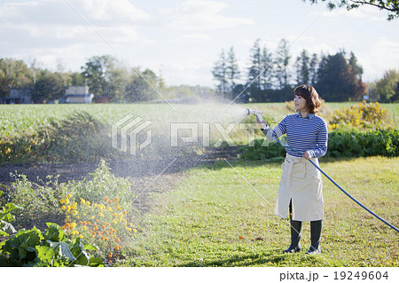 ガーデニングする女性 19249604
