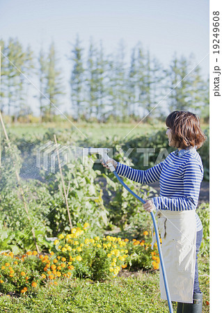 ガーデニングする女性 ガーデニングする女性 19249608