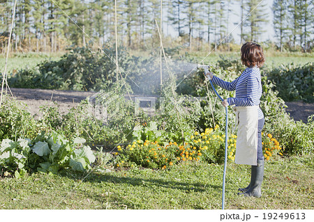 ガーデニングする女性 19249613