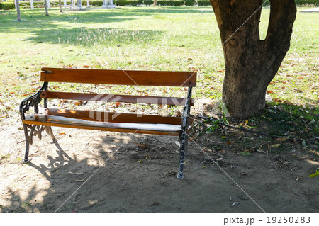 wooden bench under big tree wooden bench under big tree 19250283