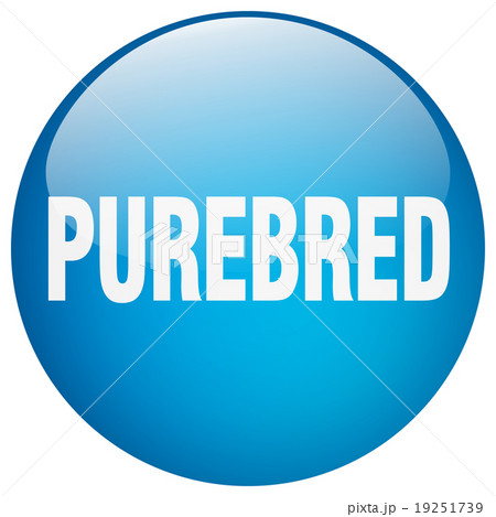 purebred blue round gel isolated push button 19251739
