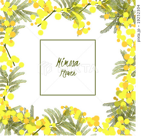 Vector background  lily flower and anchor 19252304
