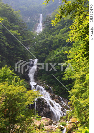 精進ヶ滝 19252470