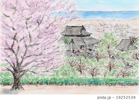 桜と寺院 19252539