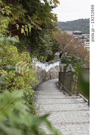 尾道の路地 19252666