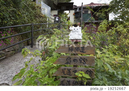 尾道の猫の細道 尾道の猫の細道 19252667