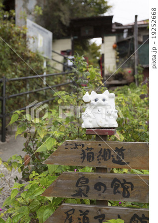 尾道の猫の細道 19252668