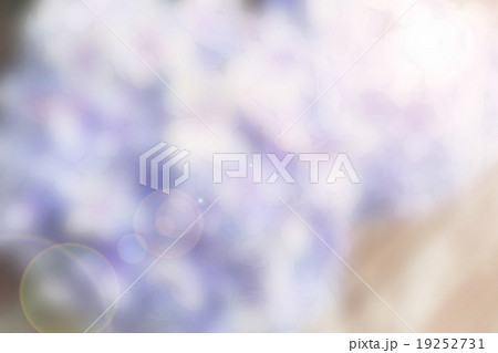 Blur and soft Hydrangea background 19252731