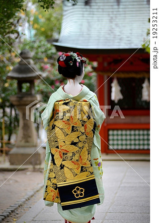 舞妓さん 舞妓さん 19253211