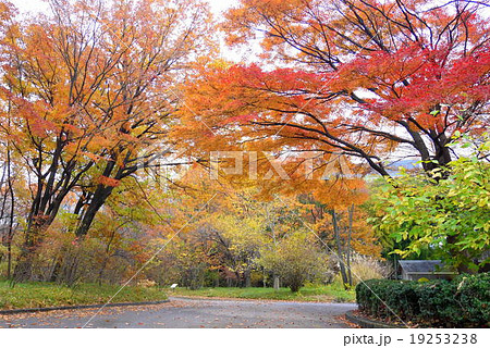 皇居東御苑、二の丸庭園の紅葉（12月）東京都千代田区 19253238