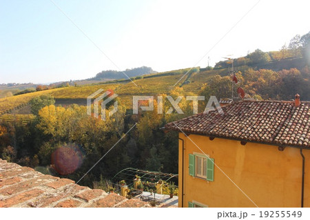 イタリア　バローロ村からの眺め 19255549