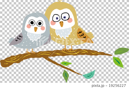 ふくろうの夫婦 19256227