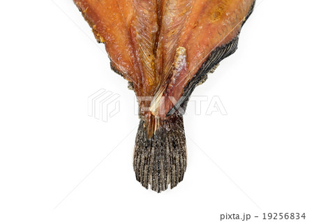 Fried Dried Fish isolated on white background Fried Dried Fish isolated on white background 19256834