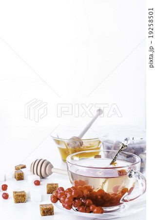 Hot herbal tea with honey and viburnum,  19258501