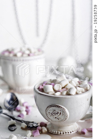 Christmas cocoa with marshmallows 19258739