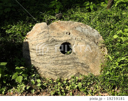 ヤップ島の石貨/日比谷公園 ヤップ島の石貨/日比谷公園 19259181