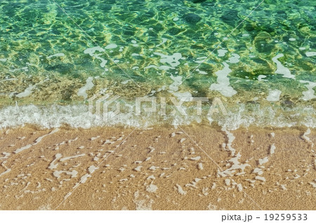 Sea Surf 19259533