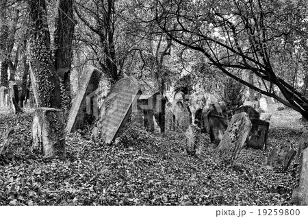 Old Jewish Cemetery 19259800