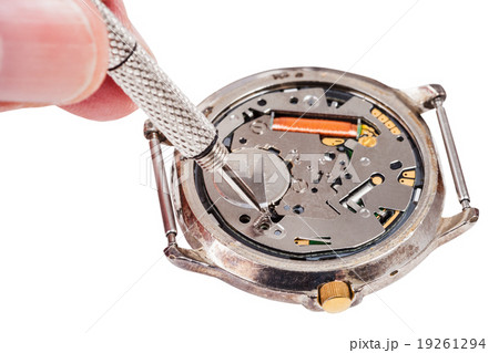 repairer replaces battery in quartz watch isolated repairer replaces battery in quartz watch isolated 19261294