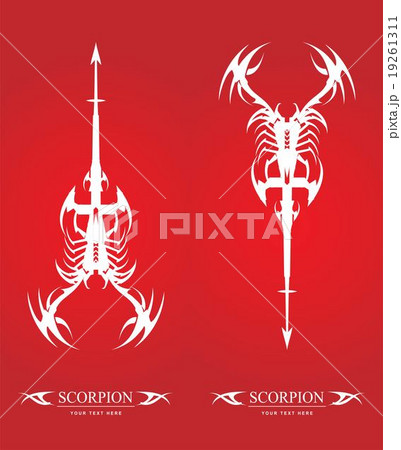 scorpion. white scorpion with the arrow tail 19261311