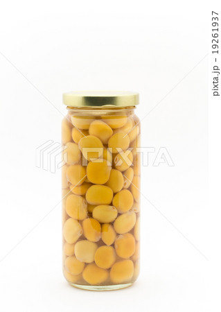ウチワマメ: Lupini beans ウチワマメ: Lupini beans 19261937