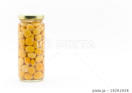 ウチワマメ: Lupini beans ウチワマメ: Lupini beans 19261938