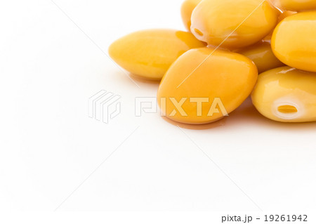 ウチワマメ: Lupini beans ウチワマメ: Lupini beans 19261942