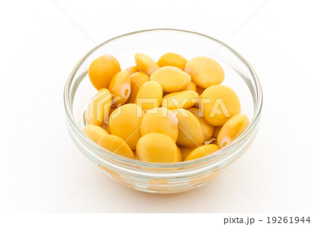 ウチワマメ: Lupini beans ウチワマメ: Lupini beans 19261944