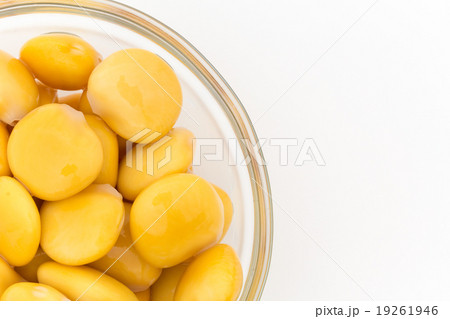 ウチワマメ Lupini Beansの写真素材