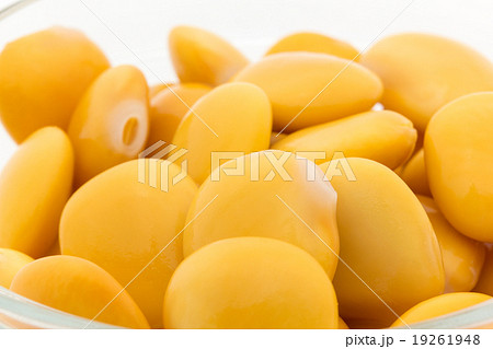 ウチワマメ: Lupini beans ウチワマメ: Lupini beans 19261948