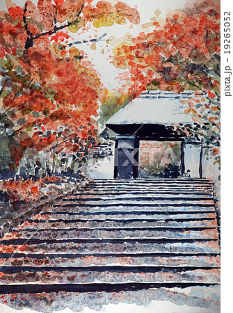 安楽寺の初雪 安楽寺の初雪 19265052