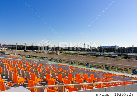 大井競馬場 19265225