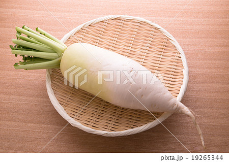 あじまるみ大根 19265344