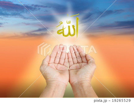 islam 19265529