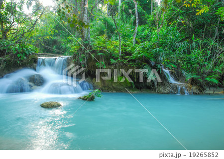 waterfall waterfall 19265852