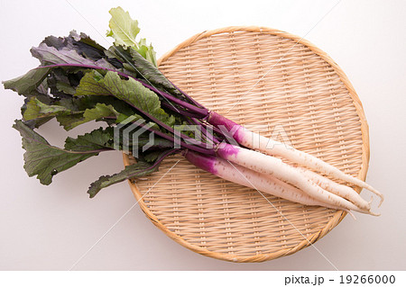 日野菜かぶ 19266000